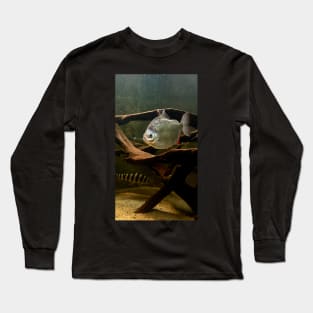 Silver fish in the water Long Sleeve T-Shirt